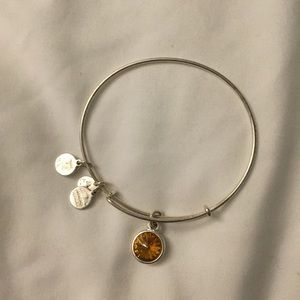 Alex and Ani charm bracelet